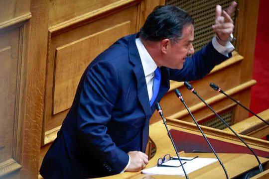 adonis vouli